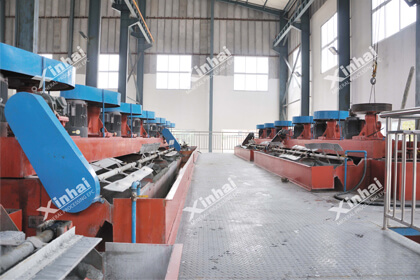 1000tpd gold flotation plant